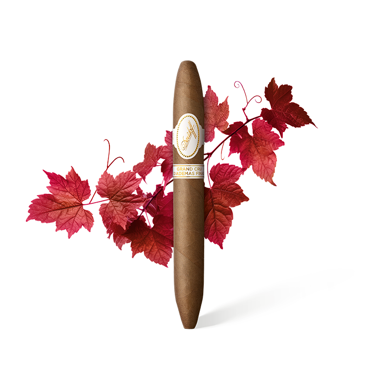 大卫杜夫格兰高优雅鱼雷型限量版